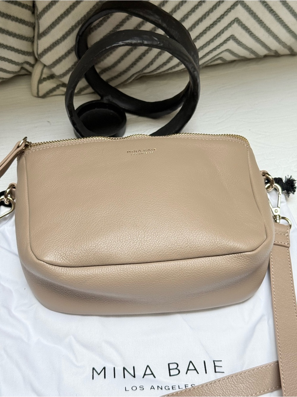 Mina Baie Nude Beige Leather Crossbody Bag with Gold Hardware - Picture 3 of 8